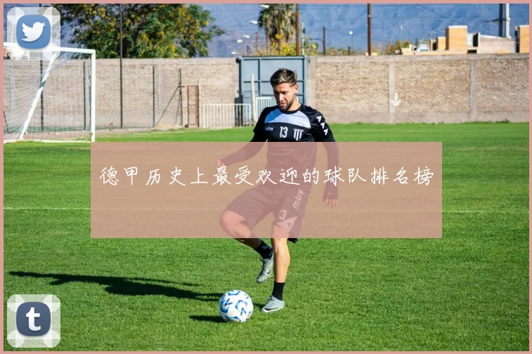 德甲历史上最受欢迎的球队排名榜