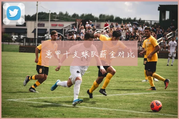 意甲十支球队薪金对比