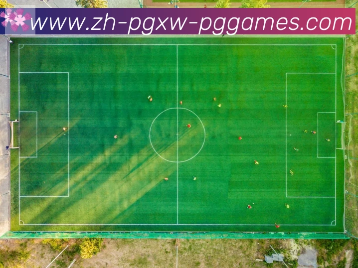PG模拟器荣誉