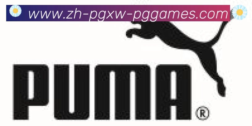 PG模拟器合作伙伴